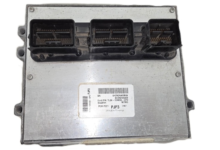 Computadora Ford Lobo 07 4.2l 